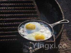 学做豆腐去哪里学这个技术，学做豆腐