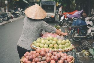 粤菜最有名的10道菜是什么菜，粤菜最有名的10道菜