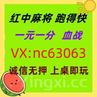 (火爆全网)红中麻将一元一分2025已更新